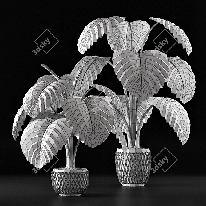 Tropical Delight: Monstera Leaf 3D model image 3