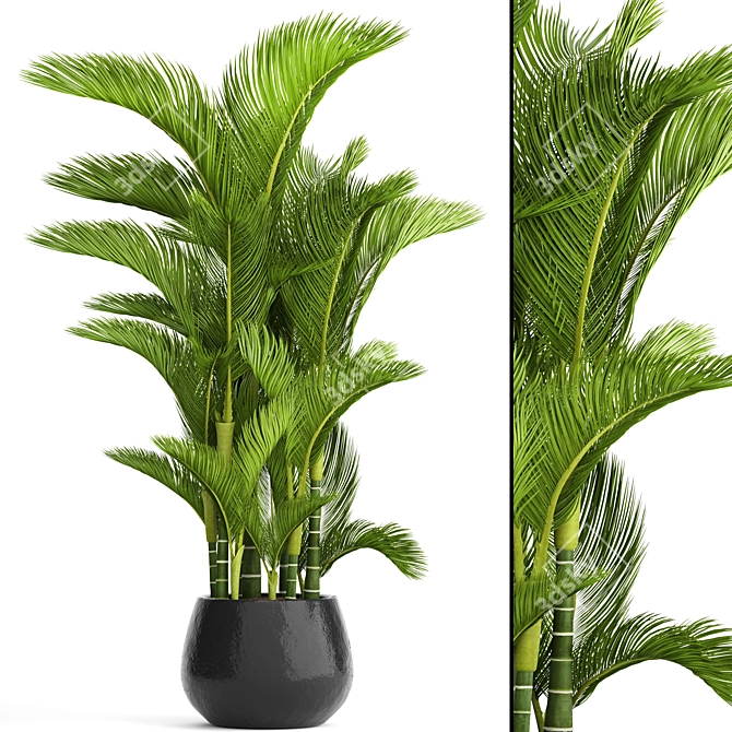 Golden Butterfly Palm Tree 3D model image 1