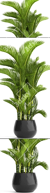 Golden Butterfly Palm Tree 3D model image 2