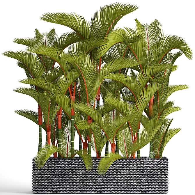 Vibrant Red Palm Tree Collection 3D model image 1