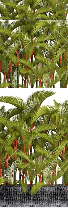 Vibrant Red Palm Tree Collection 3D model image 2