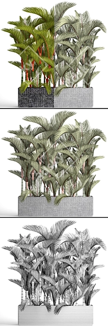 Vibrant Red Palm Tree Collection 3D model image 3