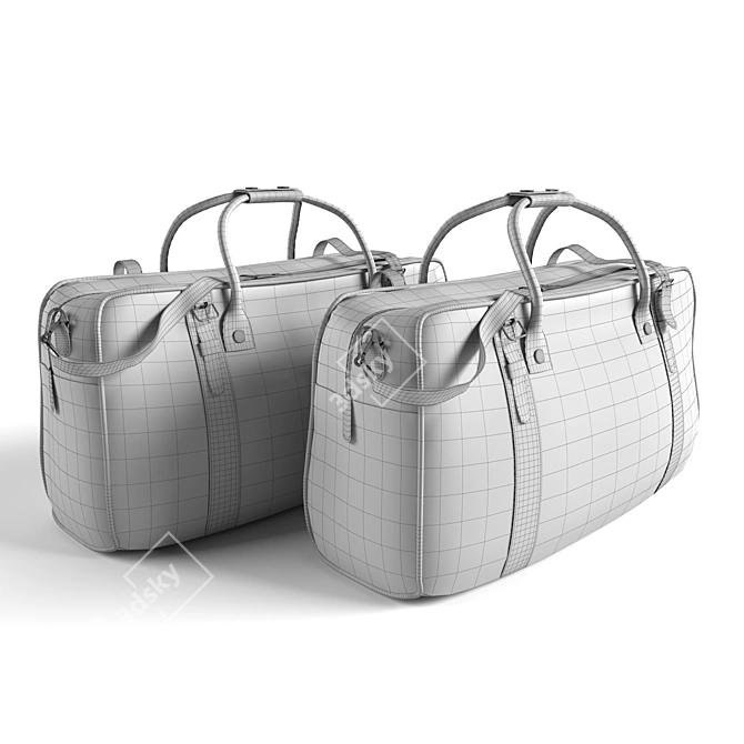 Skin Bag - Stylish 3D Design 3D model image 3