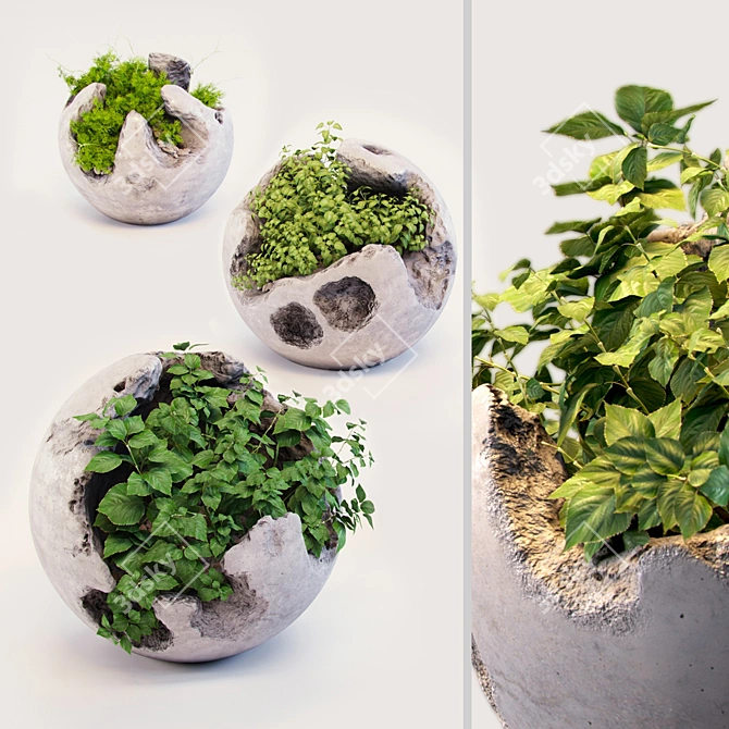 Modern Concrete Planters with Lush Greenery 3D model image 1