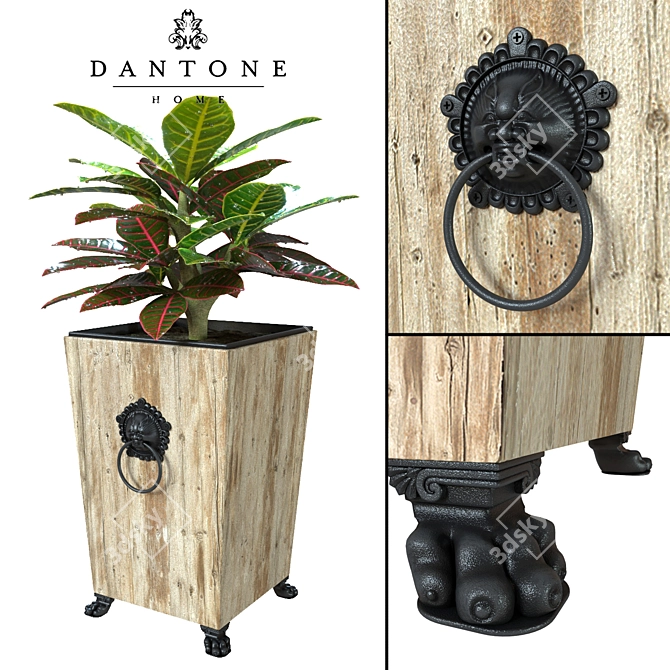 Elegant Flowerpot: Dantone Home + Codiaeum 3D model image 1