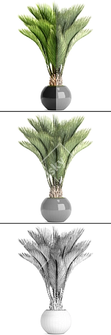 Tropical Oasis: Palm 3D model image 3