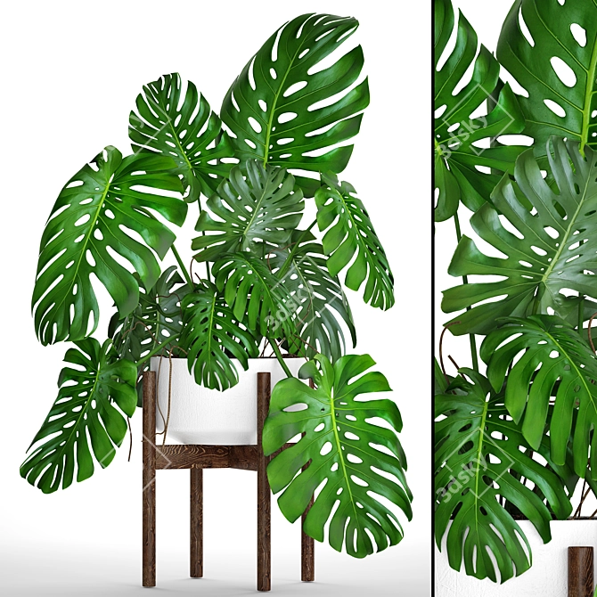 Title: Tropical Monstera Leaf Print 3D model image 1