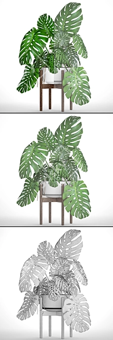 Title: Tropical Monstera Leaf Print 3D model image 3