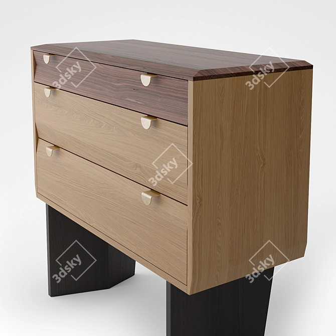 Dusty Drawers: Handcrafted Wooden Chest 3D model image 2