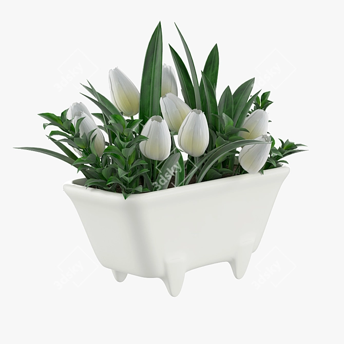 Tulip Bath Delight 3D model image 1