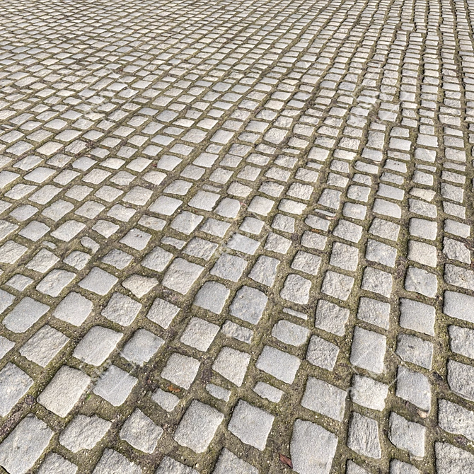 Corona CobbleStone Texture Pack 3D model image 1