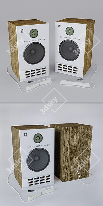 Premium 2-Way Acoustic Speakers 3D model image 2