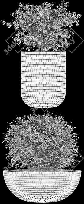 Mosaic Pot Euonymus Alatus 3D model image 3