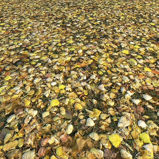 Autumn Essence: 4k Corona Material 3D model image 1