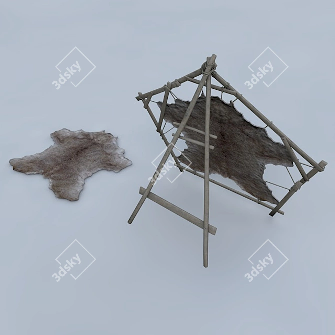 Authentic Russian Bear Skin 3D model image 2