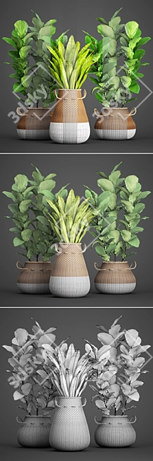 Lush Collection of Leafy Plants 3D model image 3