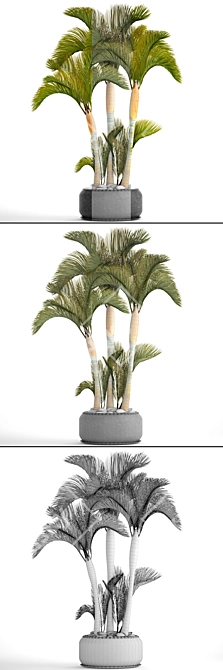 Golden Palm Collection 3D model image 3