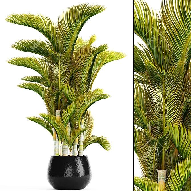 Golden Palm Tree - Vibrant Tropical Beauty 3D model image 1