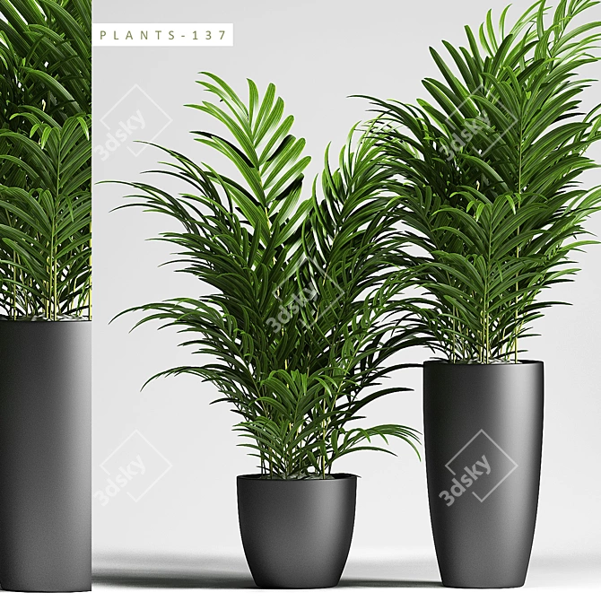 Exquisite 3D Plant Collection 3D model image 1