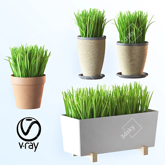 Modern Home Plant Set 

Translation: 
Set of simple indoor plants with pots, perfect for interior design. Features high-quality voluminous grass. 3D model image 1