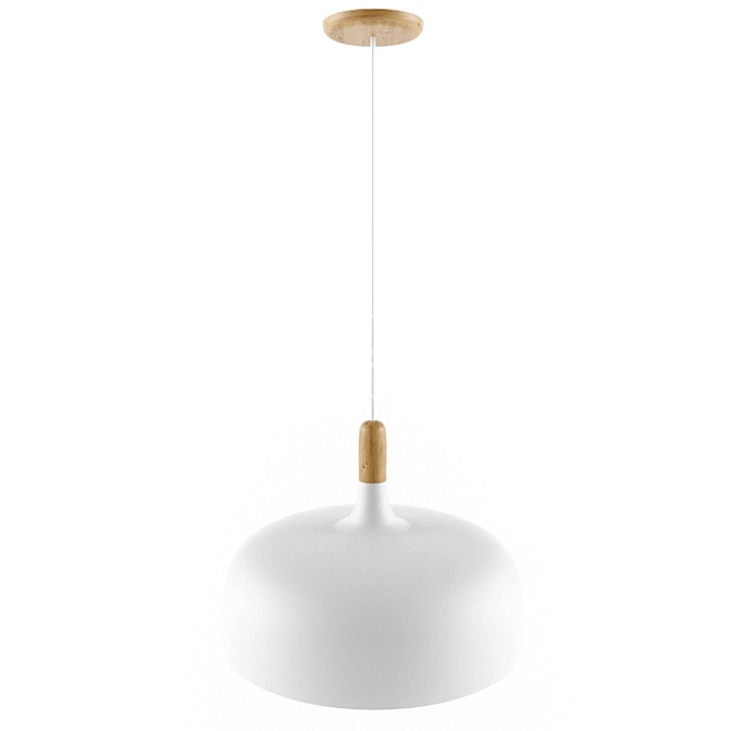 Elegant Acorn Pendant Light 3D model image 2