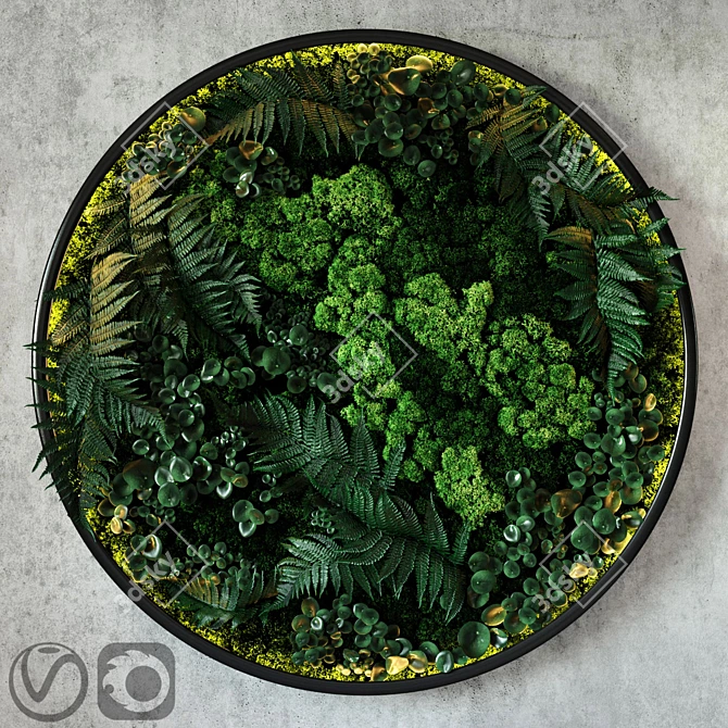 LED-illuminated Fyto Disk: Moss, Fern, and Peperomia Blend 3D model image 1