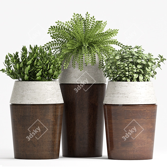 Botanical Oasis: Decorative Planters 3D model image 1