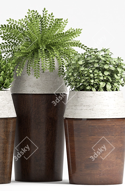 Botanical Oasis: Decorative Planters 3D model image 2