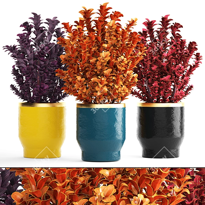 Vibrant Berberis Thunbergii Collection 3D model image 1