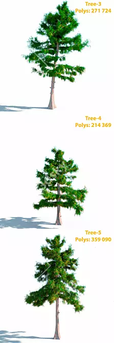 Title: Cedar Collection: 3 Textured Modles 3D model image 2