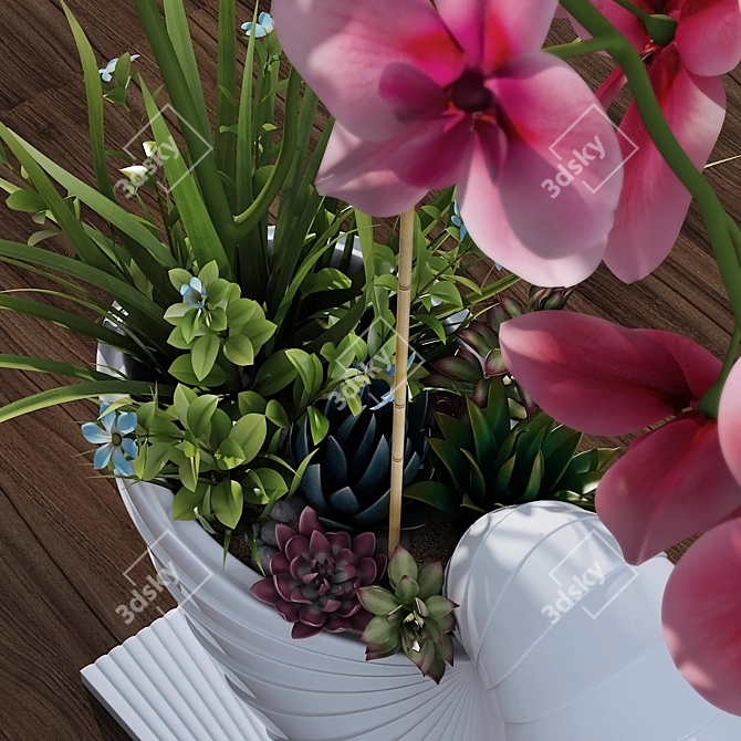 Elegant Blooming Orchid 3D model image 2
