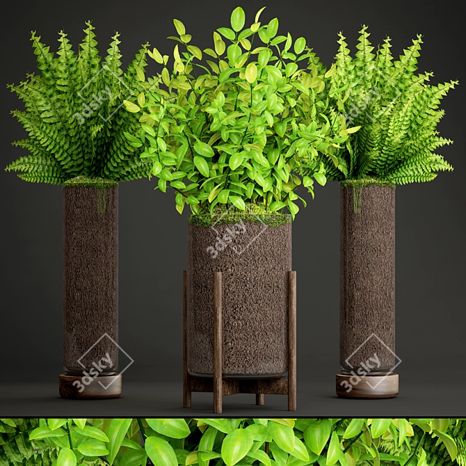 Green Oasis Plant Collection 3D model image 1