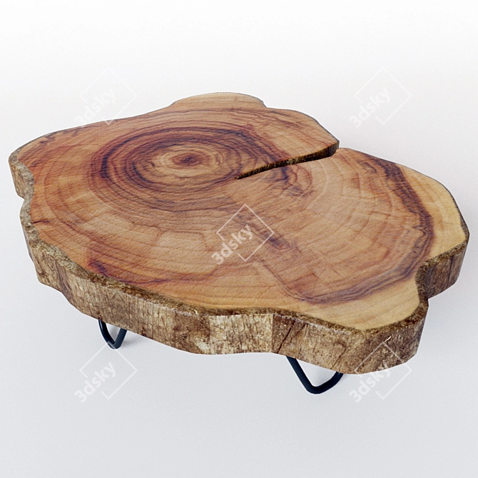 Rustic Wood Bark Table 3D model image 2