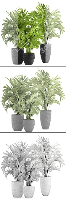 Tropical Palm Collection 118 3D model image 3