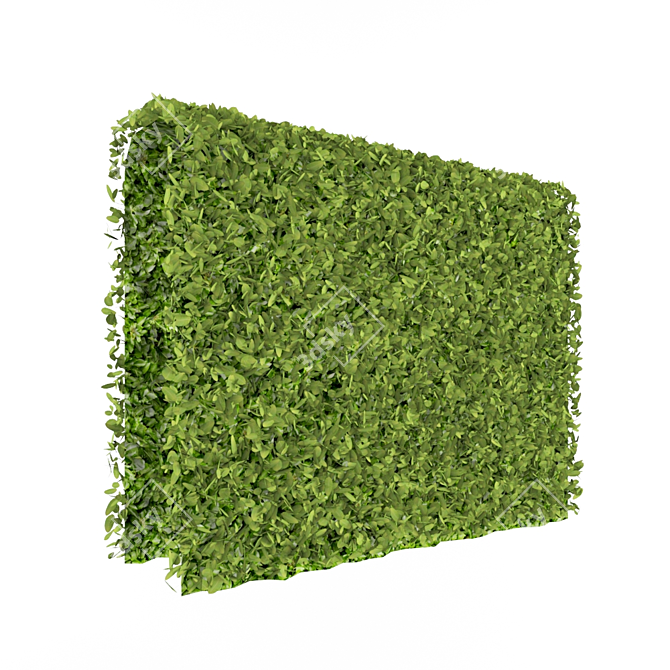 Lush Green Decorative Wall 3D model image 1