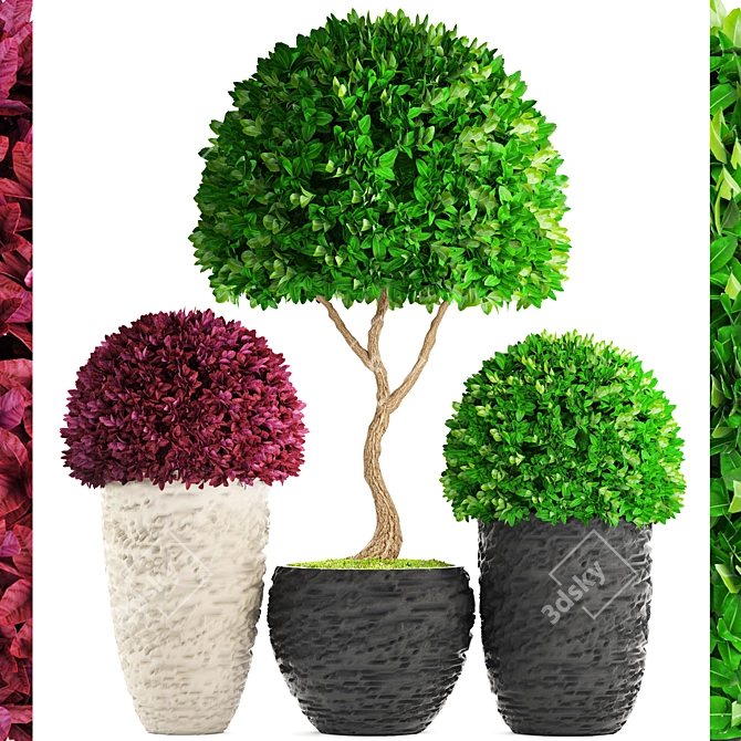 118 Plant Collection: Topiary Haven 3D model image 1