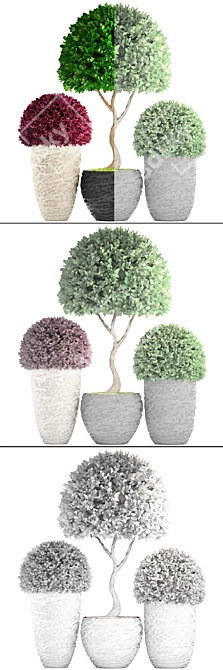 118 Plant Collection: Topiary Haven 3D model image 3