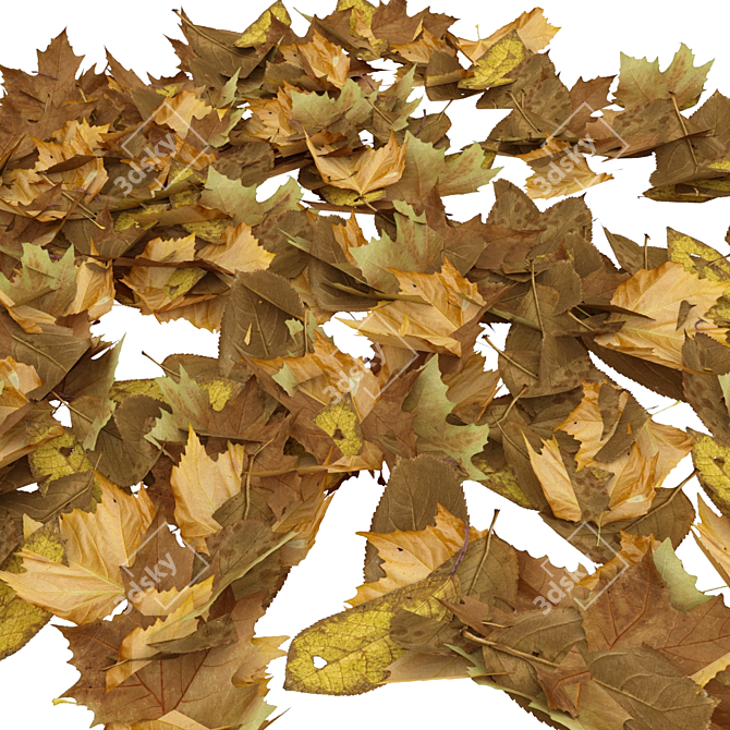 Title: Nature's Remnants - Dried Foliage 3D model image 1