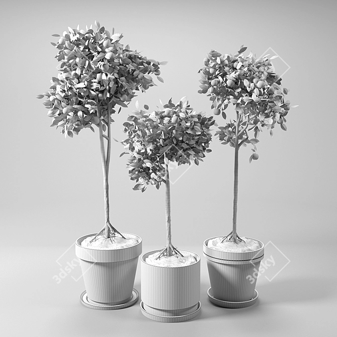 Citrus Grove Potted Set 3D model image 2