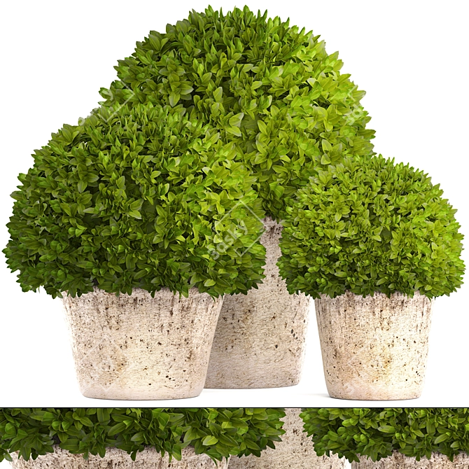 Botanical Bliss: Topiary Collection 3D model image 1