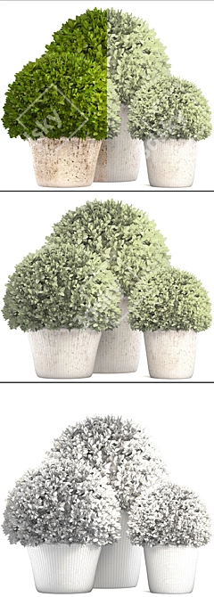 Botanical Bliss: Topiary Collection 3D model image 3