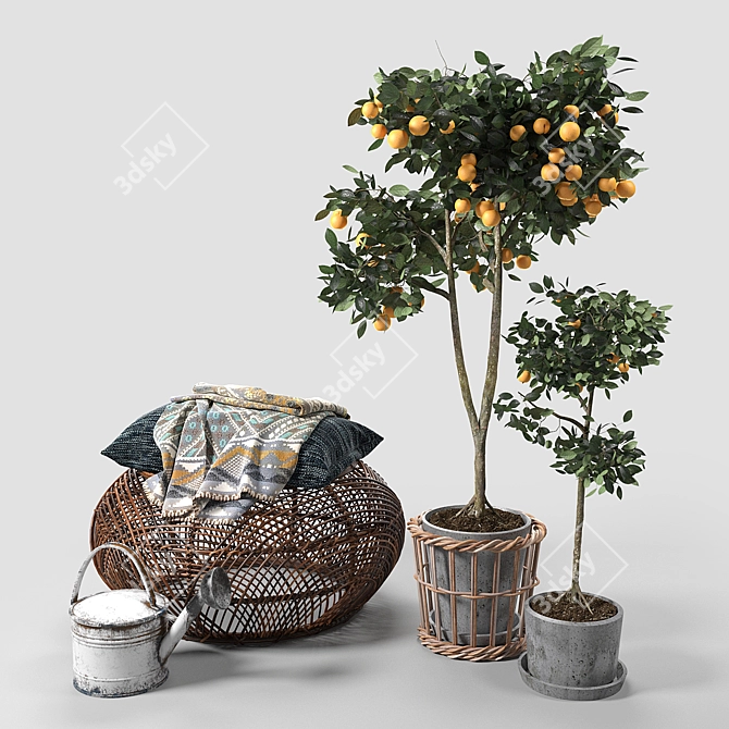 Citrus Oasis: Orange Trees & Puff 3D model image 1