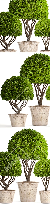 Spectacular Topiary Collection: 126 Varieties 3D model image 2