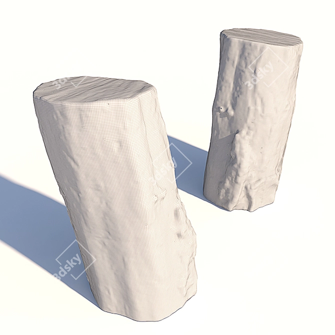 Acacia Stump: Photorealistic 3D Model 3D model image 2