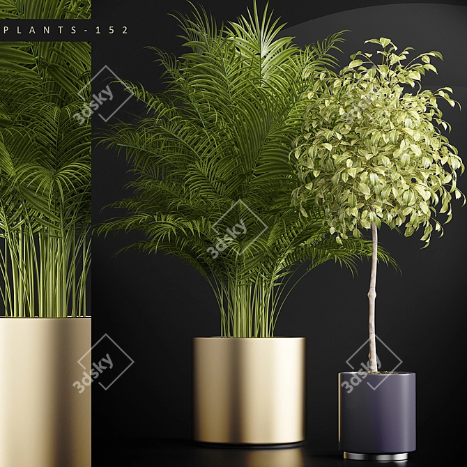 152 Plant Collection 3D model image 1