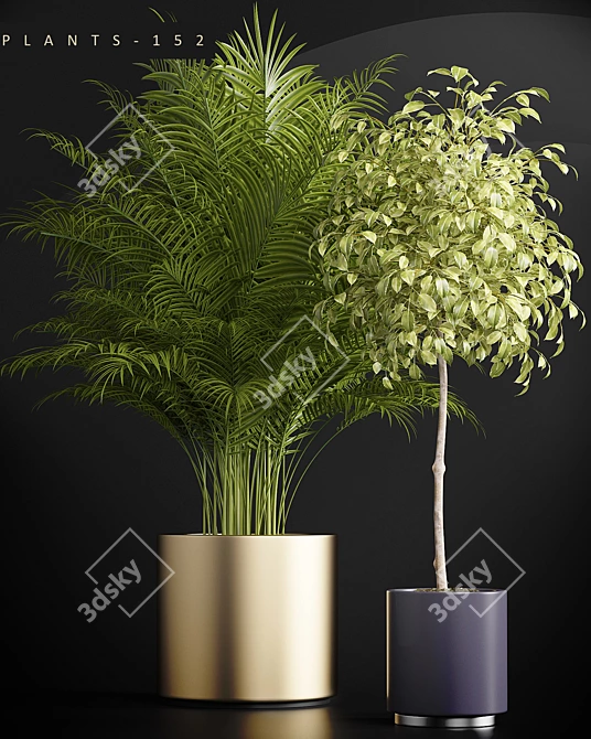 152 Plant Collection 3D model image 2