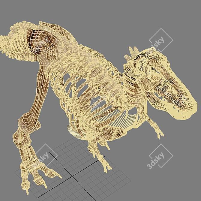 Trex Skeleton Replica 3D model image 3