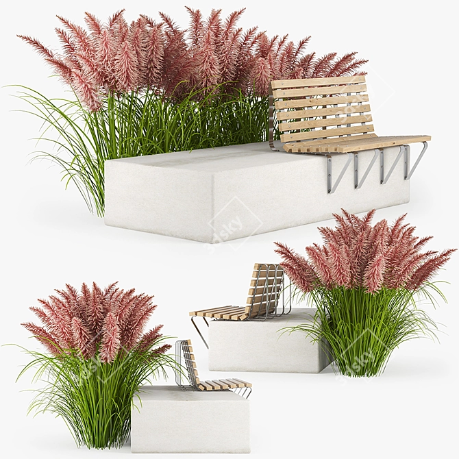  Vibrant Pink Pampas Grass Seeds 3D model image 1