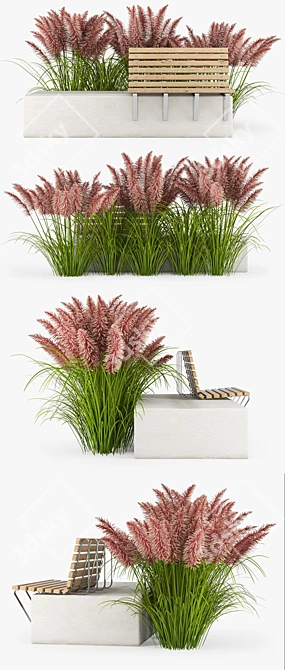  Vibrant Pink Pampas Grass Seeds 3D model image 2