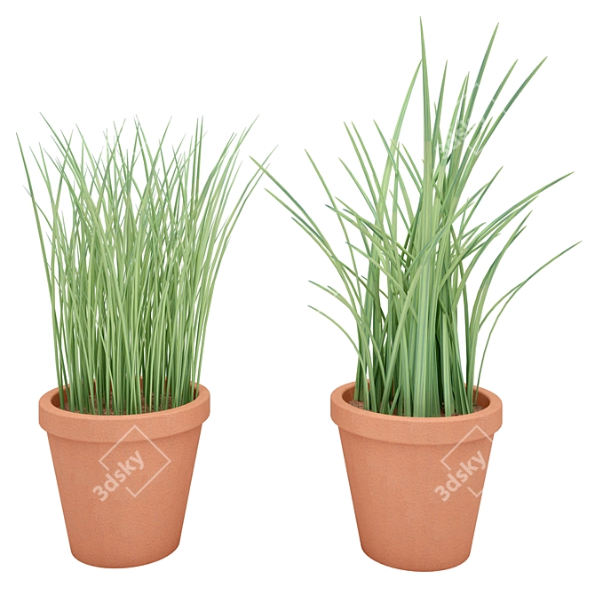 Leafy Terracotta Plant Duo 3D model image 1